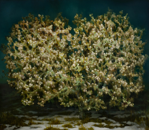 flowering tree